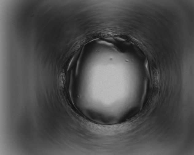 X0000052590038200507152356