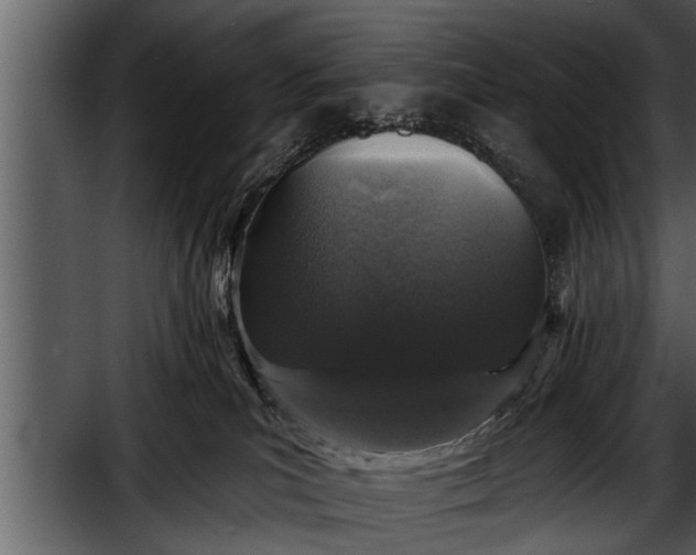 X0000052590039200507152356