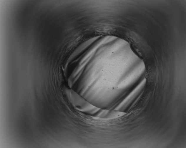 X0000052590040200507152356