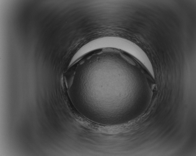 X0000052590041200507152356
