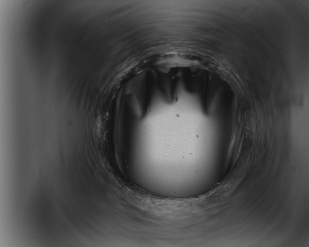 X0000052590044200507152356