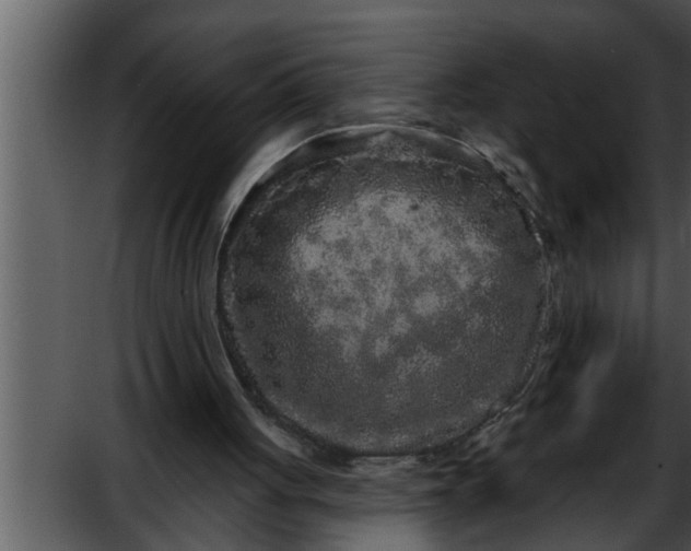 X0000052590051200507152355
