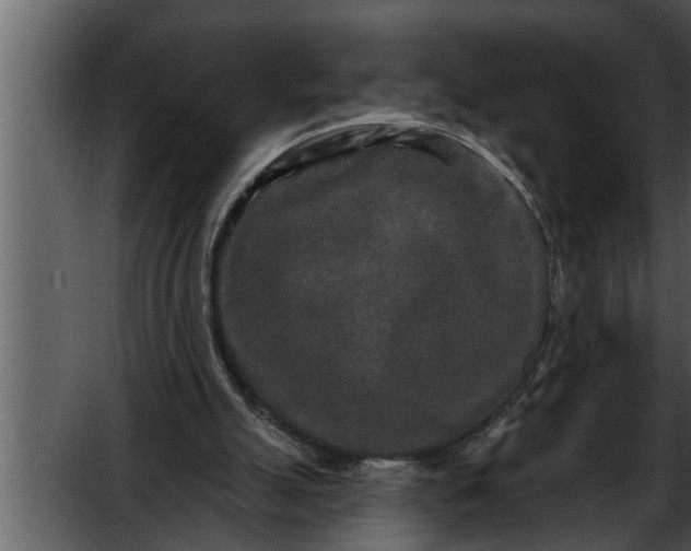 X0000052590055200507152355