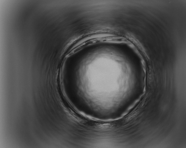 X0000052590058200507152355