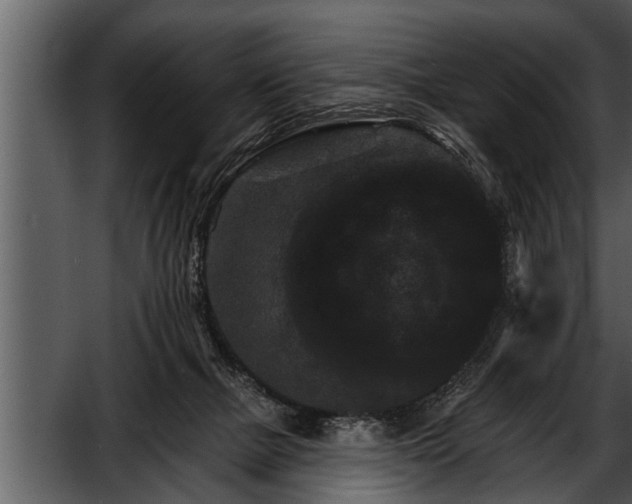 X0000052590073200507152356