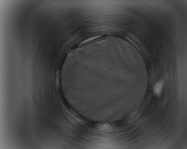 X0000052590074200507152356