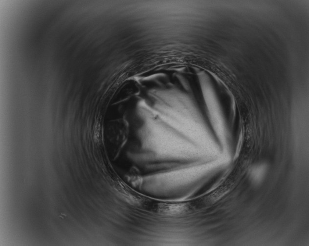 X0000052590081200507152356