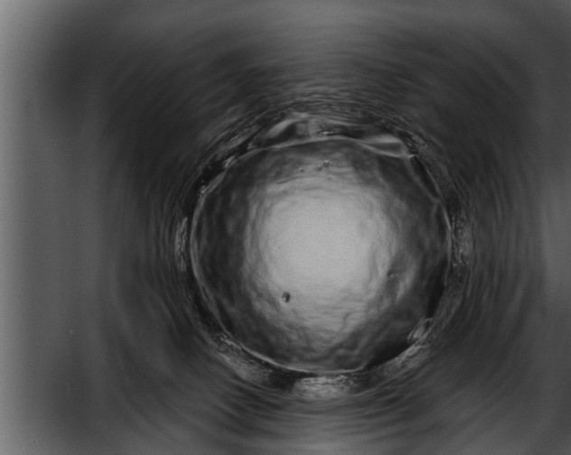 X0000052590082200507152356