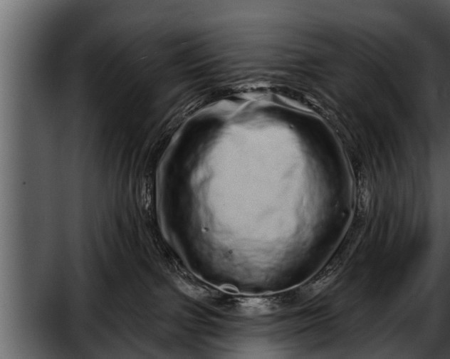X0000052590091200507152356
