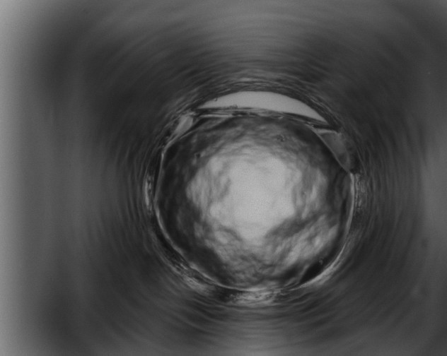 X0000052590094200507152356