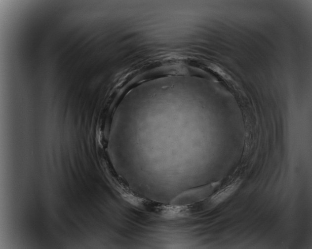 X0000052590096200507152356