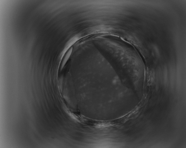 X0000052590099200507152355
