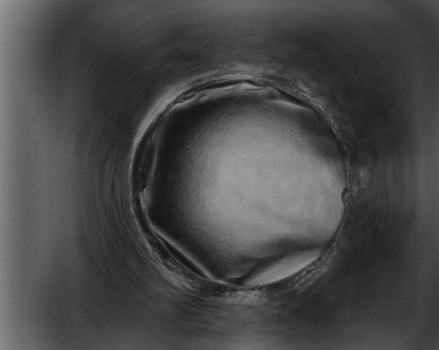 X0000052590102200507152355