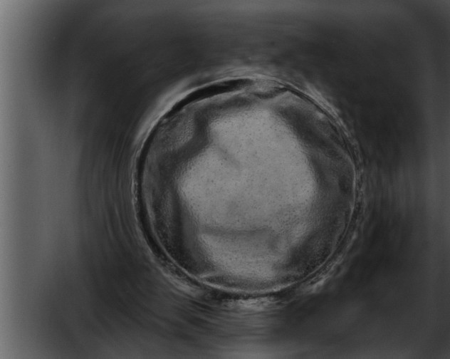 X0000052590103200507152355