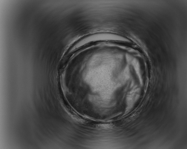 X0000052590107200507152355