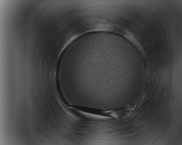 X0000052590108200507152355