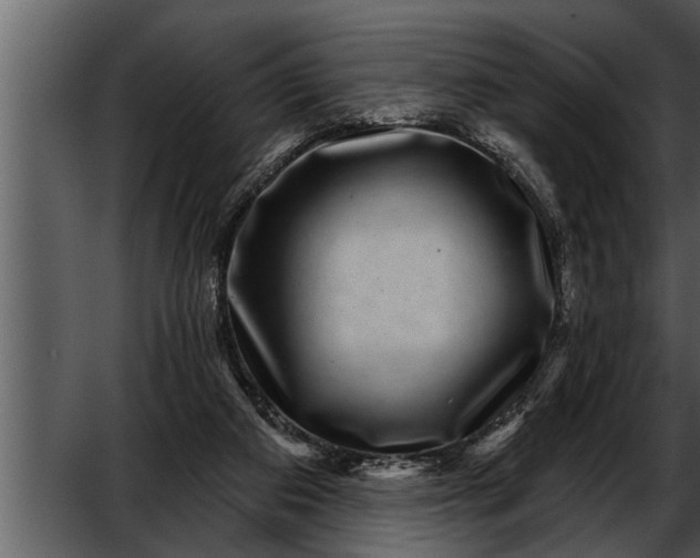X0000052590113200507152355