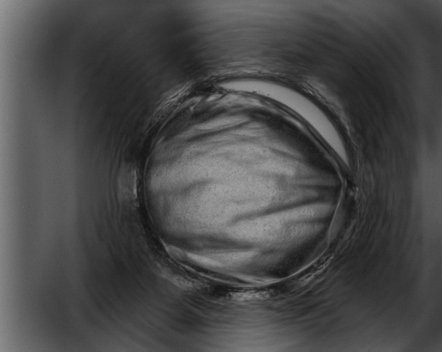 X0000052590115200507152355
