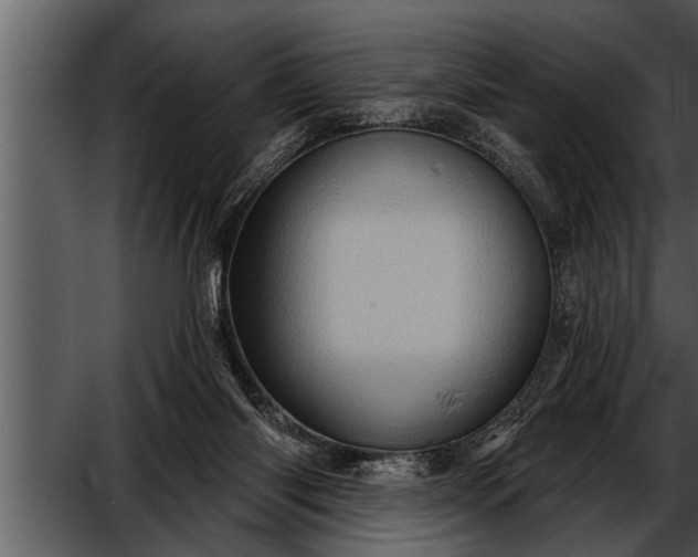 X0000052590118200507152355