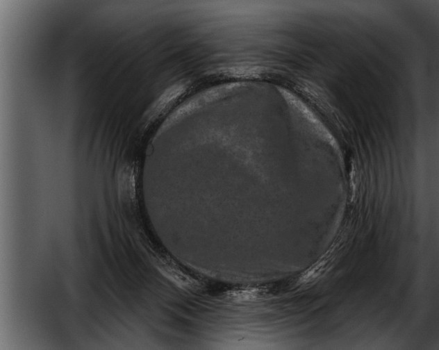 X0000052590120200507152355