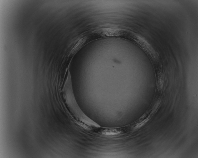 X0000052590121200507152355