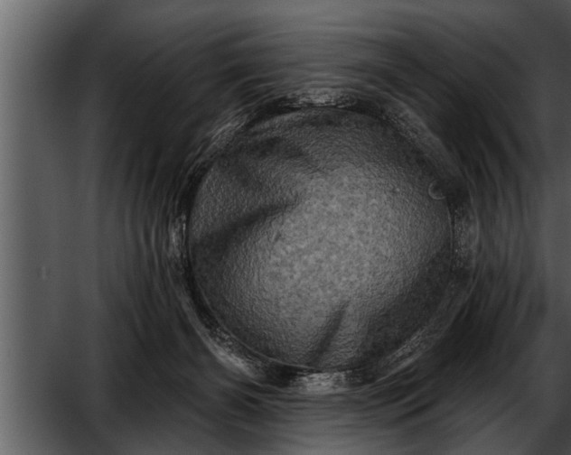 X0000052590126200507152355