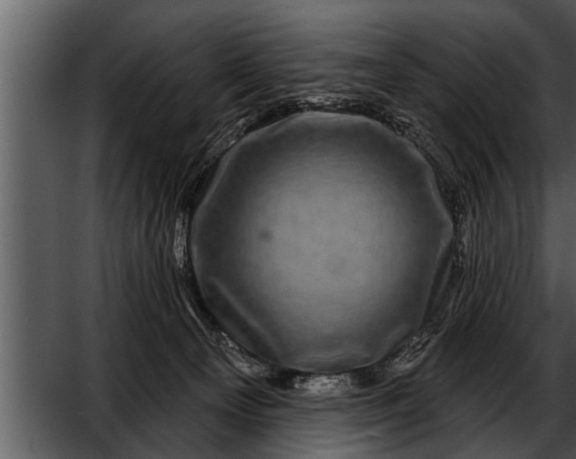 X0000052590129200507152355