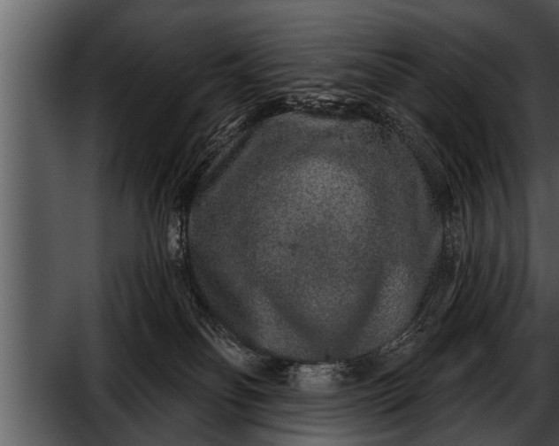 X0000052590134200507152354