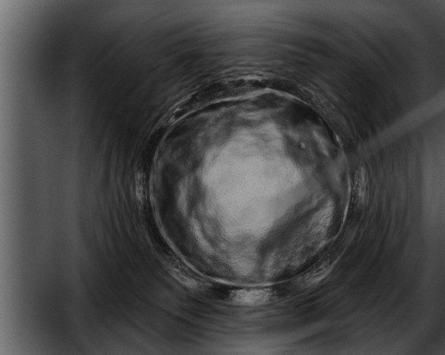 X0000052590135200507152354