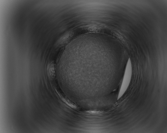 X0000052590137200507152354