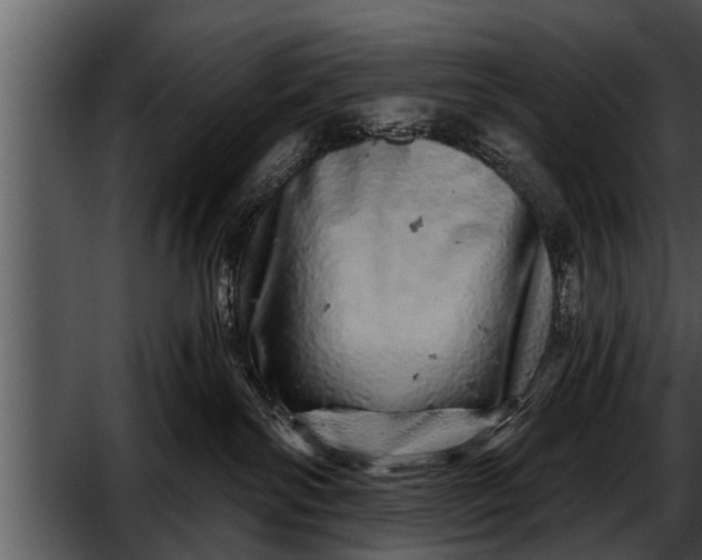 X0000052590138200507152354