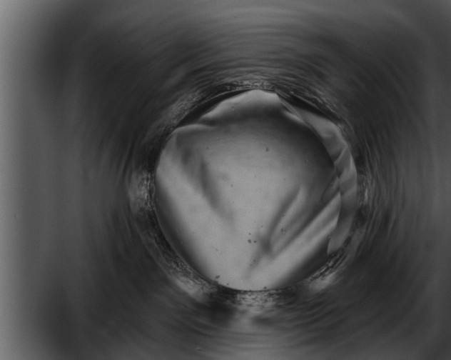 X0000052590141200507152354