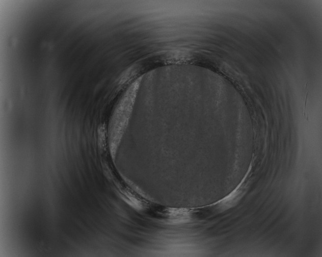 X0000052590144200507152354