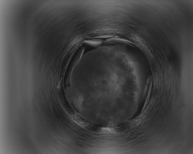 X0000052590167200507152354