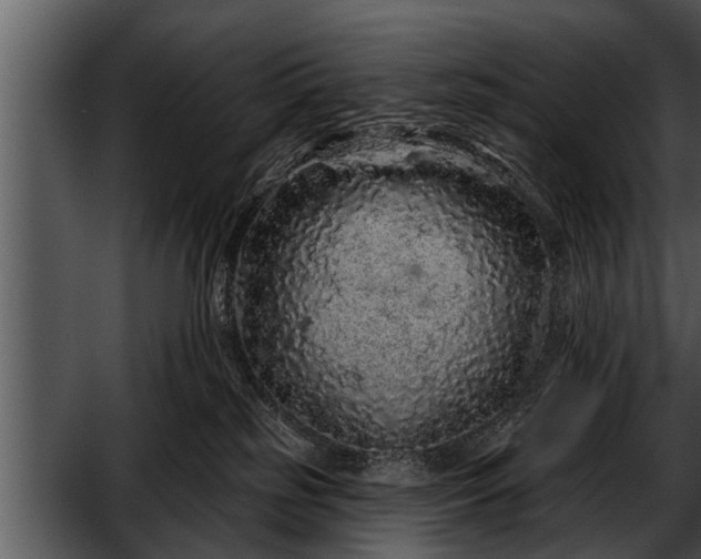X0000052590185200507152354