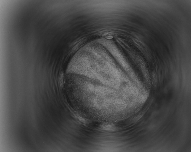 X0000052590189200507152354