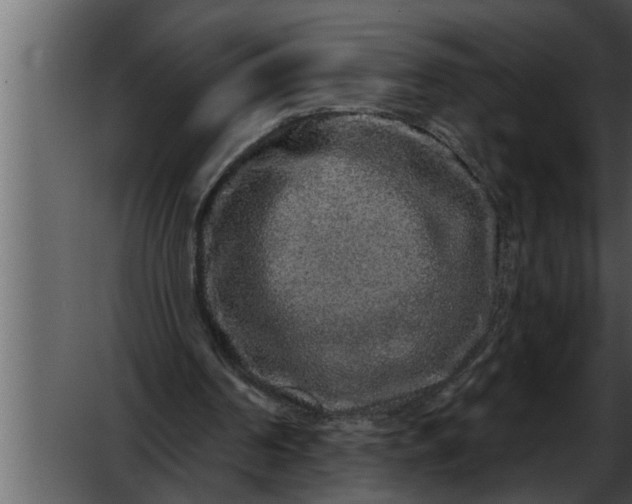 X0000052590194200507152353