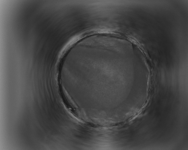 X0000052590197200507152353