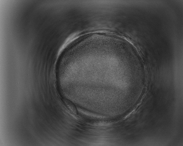 X0000052590198200507152353