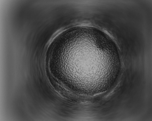 X0000052590199200507152353