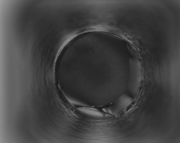 X0000052590200200507152353