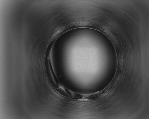 X0000052590207200507152353