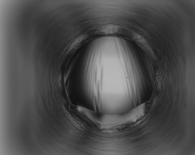 X0000052590212200507152353