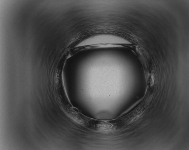 X0000052590215200507152353