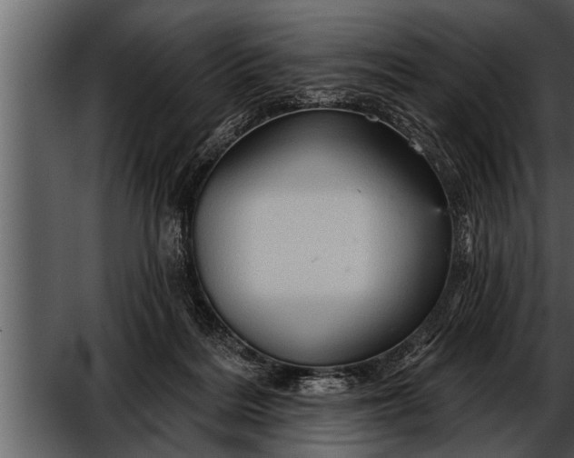 X0000052590220200507152353