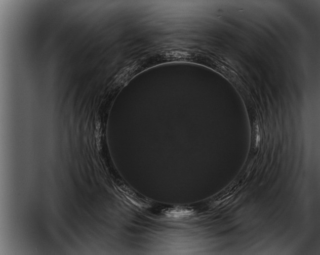 X0000052590223200507152353