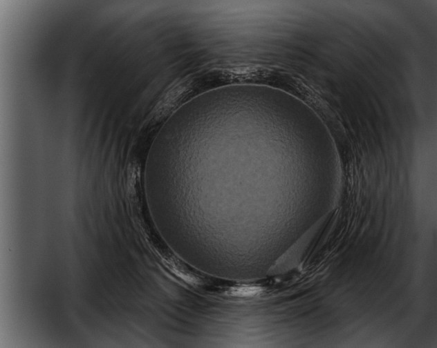 X0000052590225200507152353