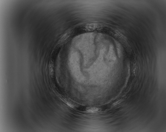 X0000052590226200507152353