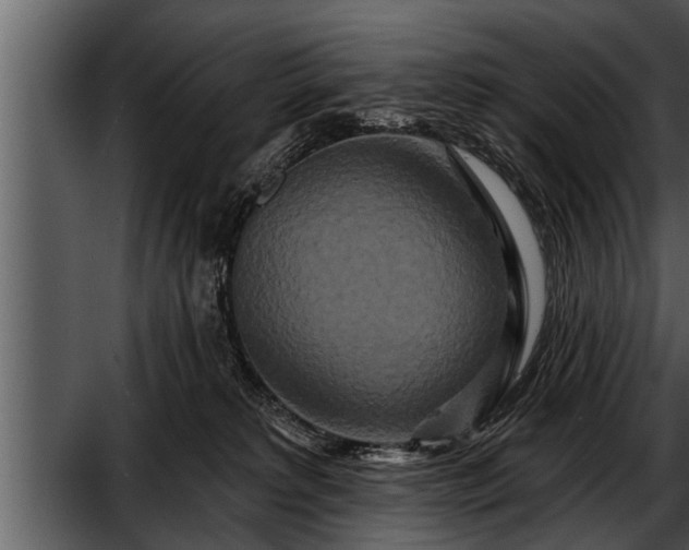 X0000052590229200507152353
