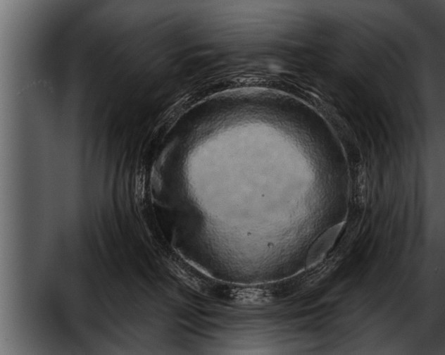 X0000052590230200507152353